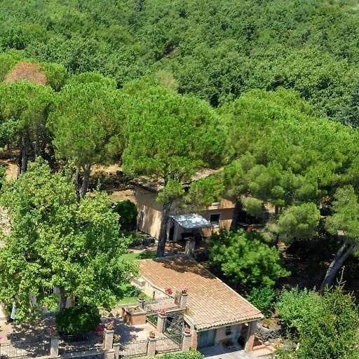 Feudo Algerazzi Villa Zafferana Etnea